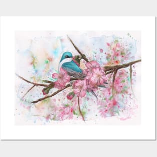 Tree Swallow Watercolor Posters and Art